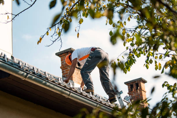 Best Commercial Roofing Services  in Pocahontas, IA