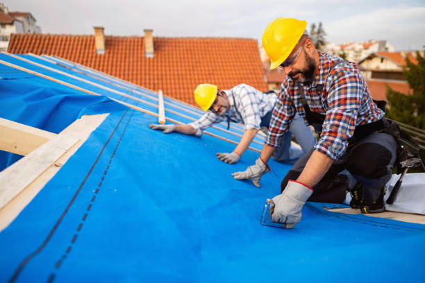 Best Residential Roof Replacement  in Pocahontas, IA